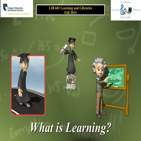 What is learning?