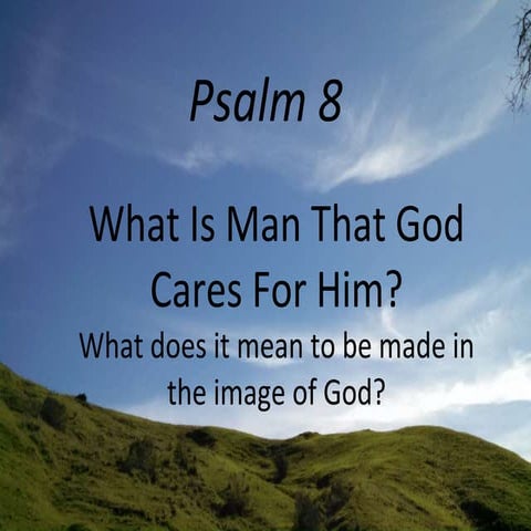 Psalm 8, What Is Man That God Cares For Him? What does it mean to be made in ...
