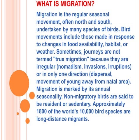 What is migration 