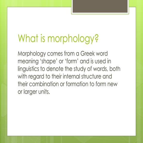 What is morphology