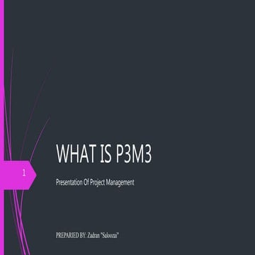 What is p3 m3 presentation of project managment