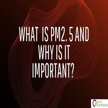 What is pm2. 5 and why is it important | PPT