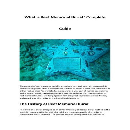 Comprehensive Guide to Reef Memorial Burial: Eco-Friendly and ...