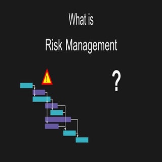 What is Risk Management