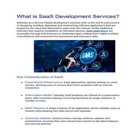 What  is  SaaS   Development  Services ?