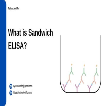 What is Sandwich ELISA - CytoScientific | PDF