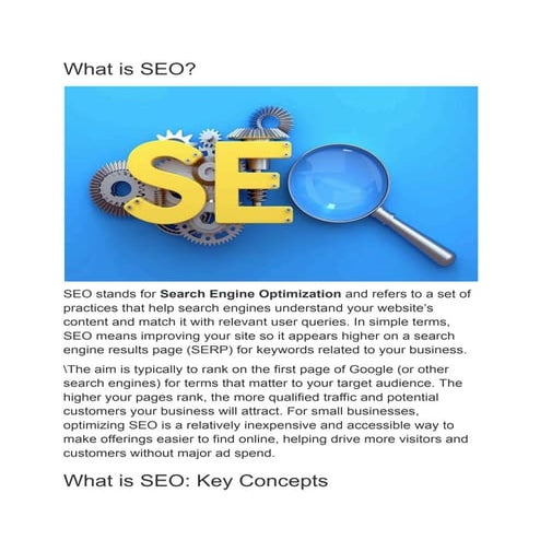 What is SEO_ A Guide to Search Engine Optimization.pdf