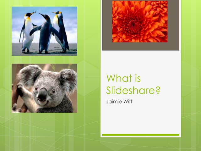 What is slideshare