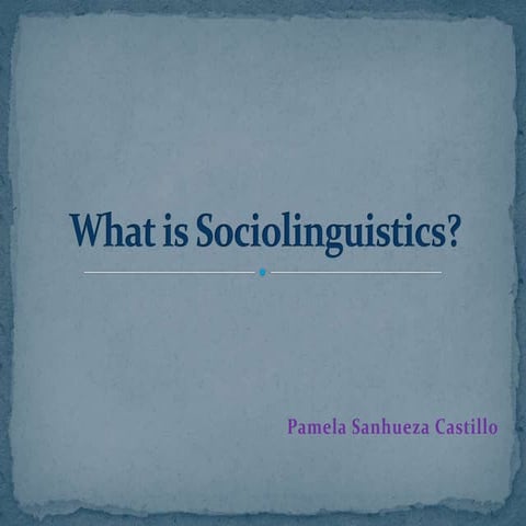 What is sociolinguistics
