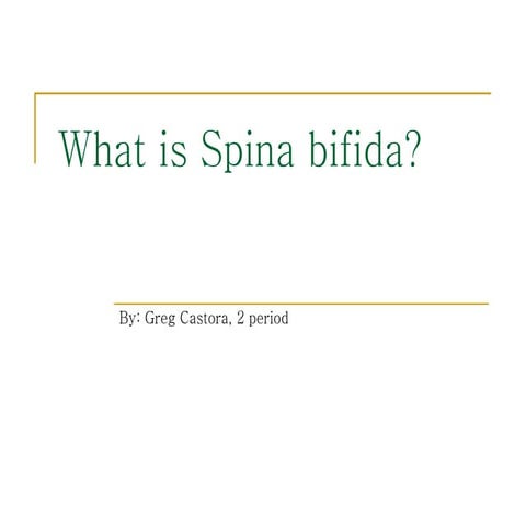 Spina bifida | PPT