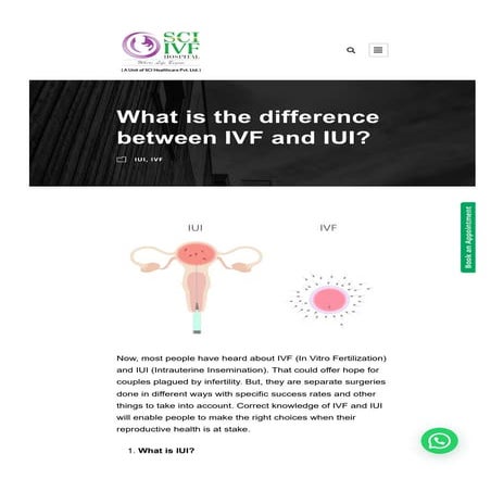 Positive Signs After Embryo Transfer: A Glance at Hope in the IVF ...