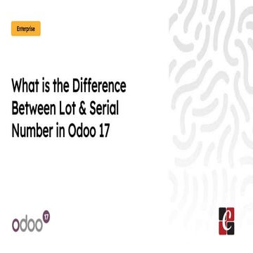 What is the Difference Between Lot & Serial Number in Odoo 17