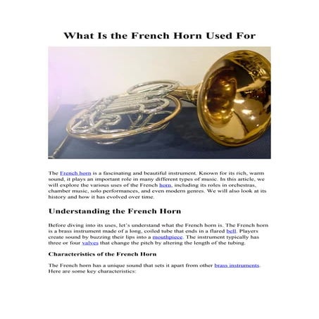Why Are They Called “Wind Instruments” Origins & Significance.docx