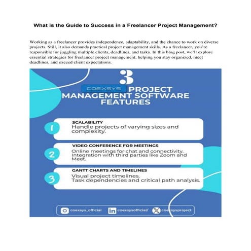 What is the Guide to Success in a Freelancer Project Management?