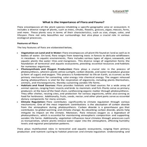 What is the Importance of Flora and Fauna?