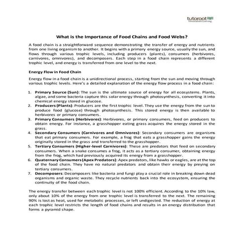 What is the Importance of Food Chains and Food Webs?