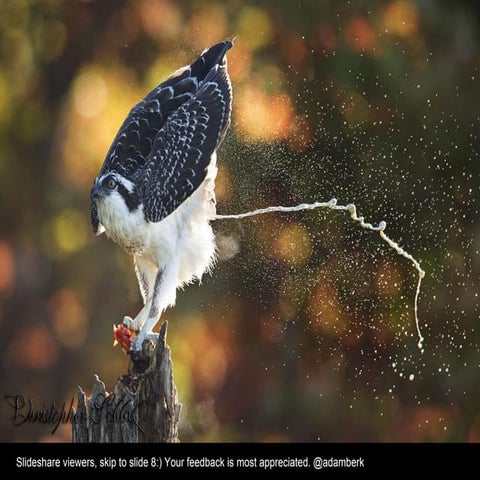 What's the problem you want to solve and why? Europe 2015