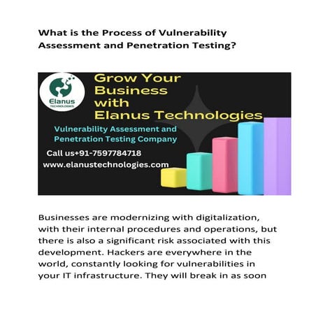 What is the process of Vulnerability Assessment and Penetration Testing.pdf