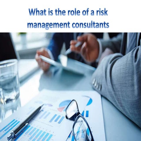 What is the role of a risk management ppt