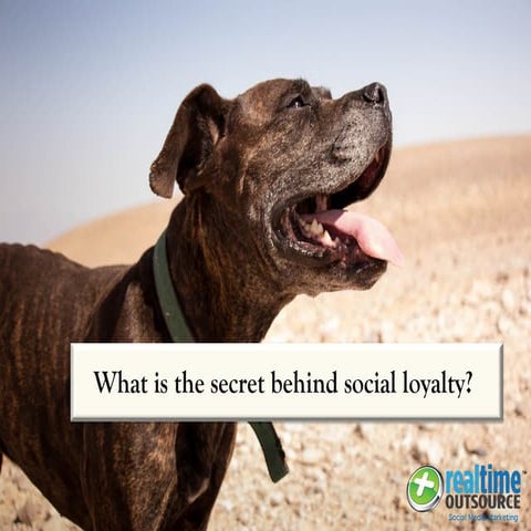 What is the Secret behind Social Loyalty   