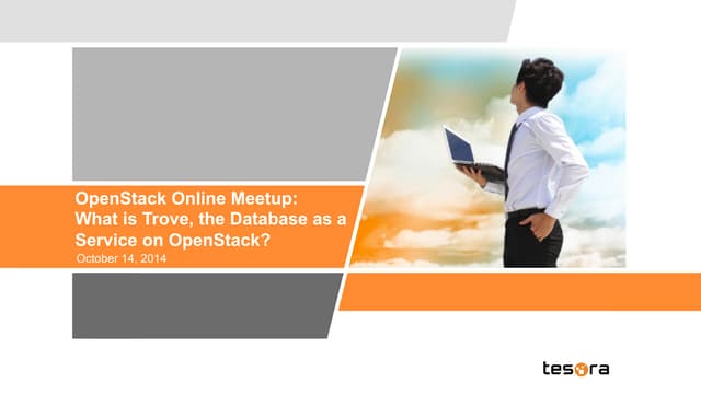 What is Trove, the Database as a Service on OpenStack?