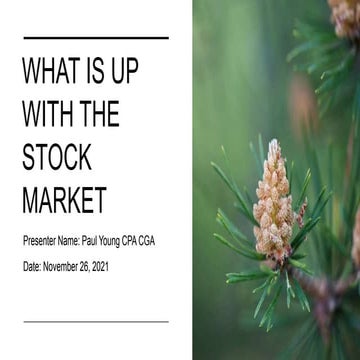 What is up with Stock Marklet| November 26 2021