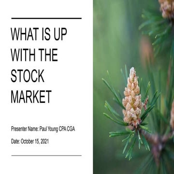 What is up with Stock Marklet| October 15, 2021 