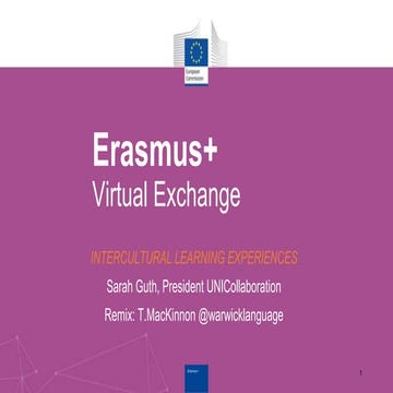 What is virtual exchange 