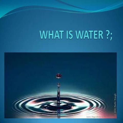 What is water