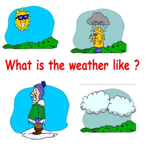 What is weather like