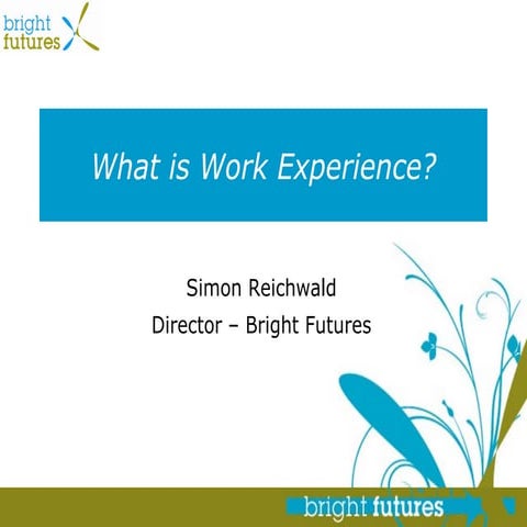 Work experience | PPT