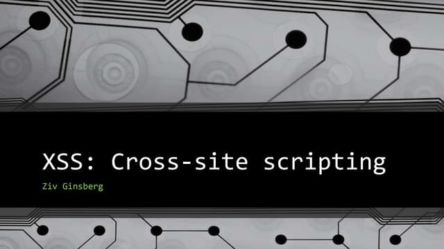What is xss, blind xss and xploiting google gadgets