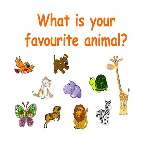 What is your favourite animal1 | PPT