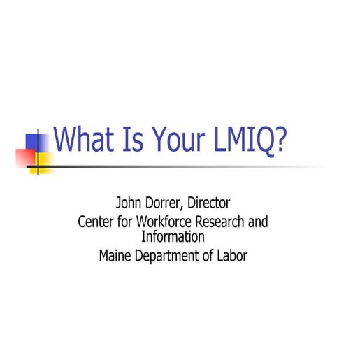 What Is Your LMIQ