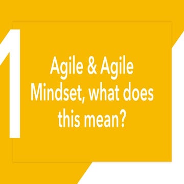What kind of agile is your agile?