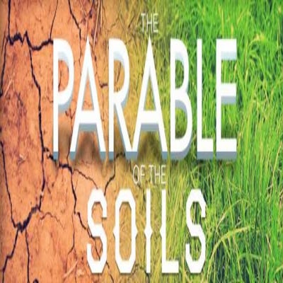 What kind of soil are you?