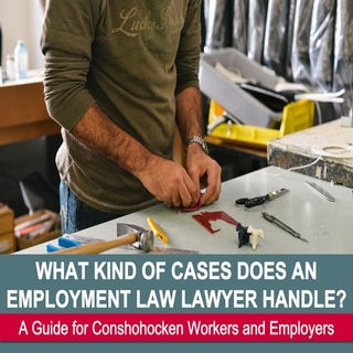 What Kinds of Cases Does an Employm...