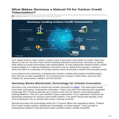 What Makes Germany a Natural Fit for Carbon Credit Tokenization.pdf