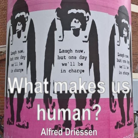 What makes us human?