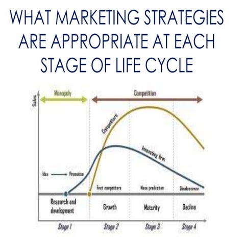 TU Patiala Aman Mehta -What marketing strategies are appropriate at each stag...