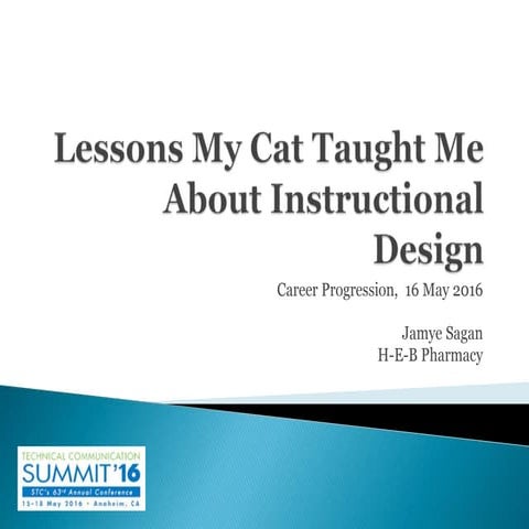 Lessons My Cat Taught Me About Instructional Design