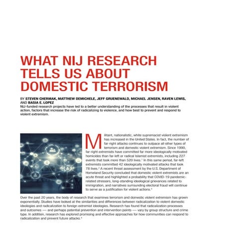 What NIJ Research Tells Us About Domestic Terrorism.pdf