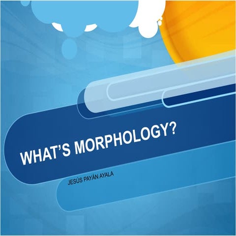 What’s morphology