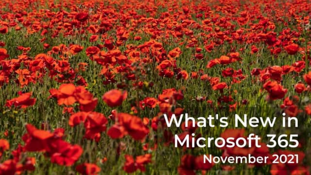 What's new in Microsoft 365 November 2021