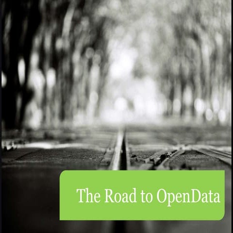 The Road to Open Data
