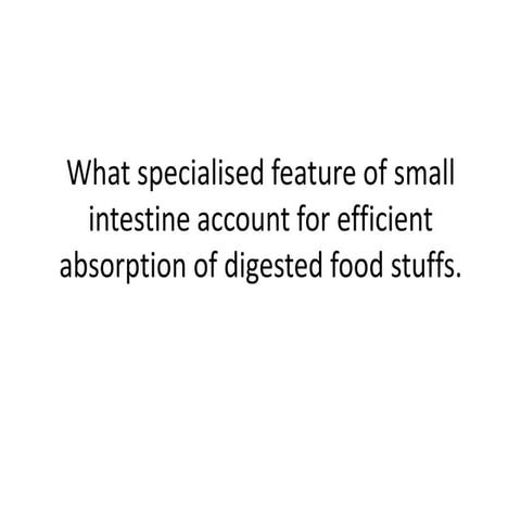 What specialised feature of small intestine account for