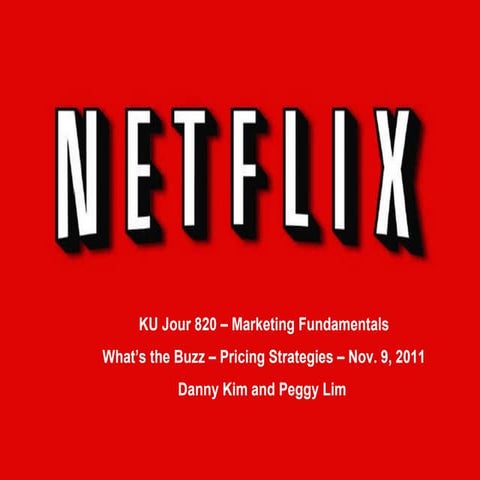 Netflix's Pricing Increase