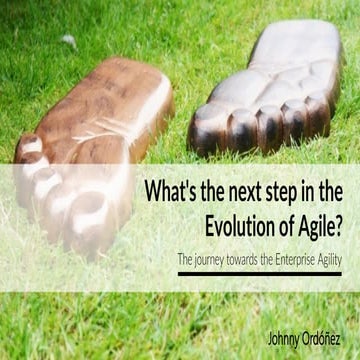 What's the next step in the Evolution of Agile? Enterprise Agility