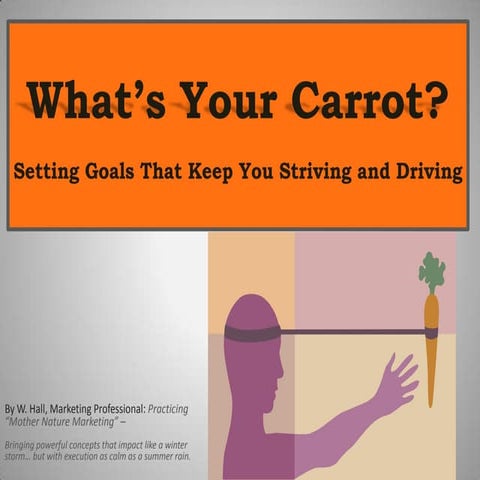 Whats Your Carrot Personal Branding = Image Management