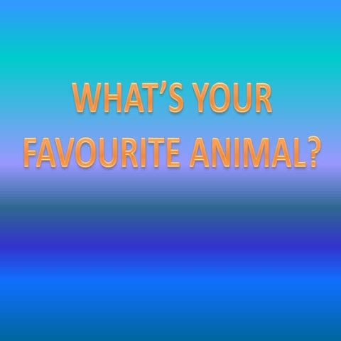 What’s your favourite animal | PPTX